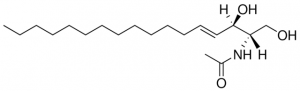 C2 Ceramide (d17:1/2:0) 