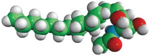 C2 Ceramide (d17:1/2:0) 