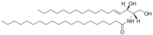 C20 Ceramide (d17:1/20:0) 