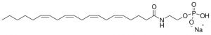 C20:4 anandamide phosphate 870440C-1MG