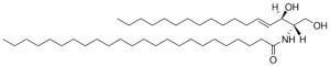C24 Ceramide (d17:1/24:0) 