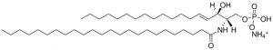 C24 Ceramide-1-Phosphate (d18:1/24:0) 860527P-1MG