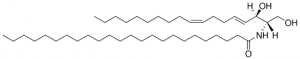 C24:0 Ceramide (d18:2(4E,8Z)/24:0) 860693P-1MG