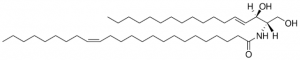 C24:1 Ceramide (d17:1/24:1(15Z)) 