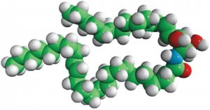 C24:1 Ceramide (d17:1/24:1(15Z)) 