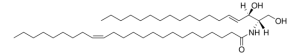 C24:1 Ceramide (d18:1/24:1(15Z)) 