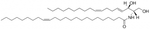 C24:1 Ceramide (d18:2(4E,8Z)/24:1(15Z)) 860691P-1MG