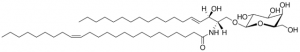 C24:1 Galactosyl() Ceramide (d18:1/24:1(15Z)) 860546P-5MG