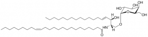 C24:1 Galactosyl() Ceramide (d18:1/24:1(15Z)) 860432P-5MG