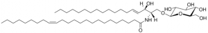 C24:1 Glucosyl() Ceramide (d18:1/24:1(15Z)) 860549P-5MG