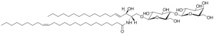 C24:1 Lactosyl() Ceramide (d18:1/24:1) 860597P-5MG