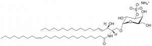 C24:1 Mono-sulfo galactosyl (alpha) ceramide (d18:1/24:1) 860871P-1MG