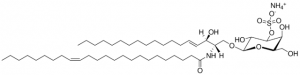 C24:1 Mono-Sulfo Galactosyl() Ceramide (d18:1/24:1) 860571P-1MG