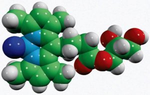 C4 TopFluor MG 810293C-1MG