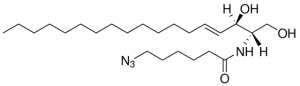C6(6-azido) Ceramide 860831P-5MG