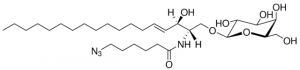 C6(6-azido) GalCer 860833P-5MG
