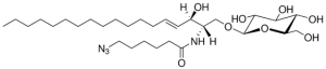 C6(6-azido) GluCer 860834P-5MG