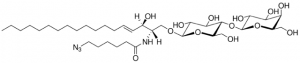 C6(6-azido) LacCer 860832P-5MG