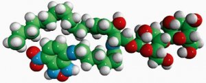 C6-NBD Lactosyl Ceramide 810226C-250UG