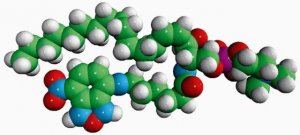 C6-NBD Sphingomyelin 810218P-1MG