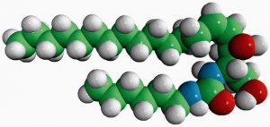 C6-Urea-Ceramide 857400P-1MG