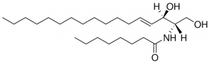 C8 Ceramide (d17:1/8:0) 