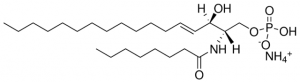 C8 Ceramide-1-Phosphate (d17:1/8:0) 860652P-1MG