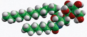 C8 Galactosyl() Ceramide (d18:1/8:0) 860430P-5MG