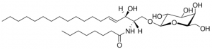 C8 Galactosyl() Ceramide (d18:1/8:0) 