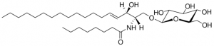 C8 Glucosyl() Ceramide (d18:1/8:0) 860540P-5MG