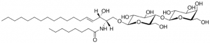 C8 L-threo-Lactosyl() Ceramide (d18:1/8:0) 860575P-1MG