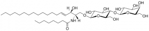 C8 Lactosyl() Ceramide (d18:1/8:0) 860541P-5MG