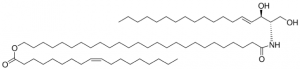CER1 (d18:1/26:0/18:1) 860850P-1MG