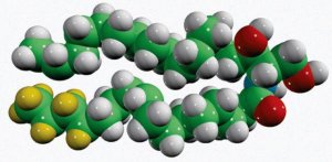 CER10(d9) 791661P-5MG
