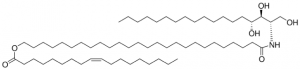 CER9 (t18:0/26:0/18:1) 860851P-1MG