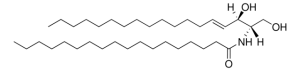 Ceramide (Brain) 