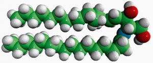 Ceramide (Egg) 