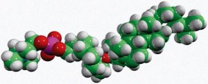 Chol-C10-PC 700124P-5MG