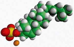 cholesterol sulfate 