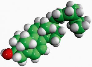 dehydroergosterol (DHE) 810253P-1MG