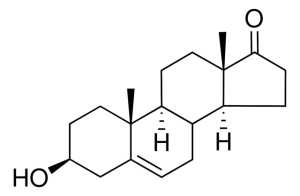 DHEA 700087P-1G