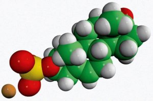 DHEA sulfate 