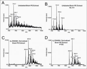 DMABA-d10 NHS Ester 640010P-1MG