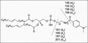DMABA-d10 NHS Ester 640010P-1MG