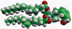 DOBAQ 850310C-25MG
