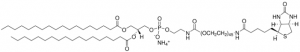 DSPE-PEG(2000) Biotin 