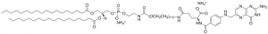 DSPE-PEG(5000) Folate 880123P-500UG