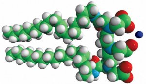 DTPA-BSA (Gd) 791268P-100MG