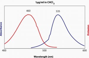Egg NBD PE 810118C-1MG