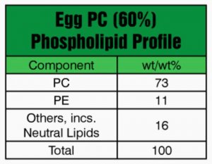 Egg PC (60%) 241601A-1G